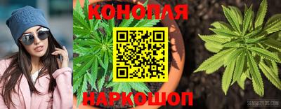 стафф Туймазы